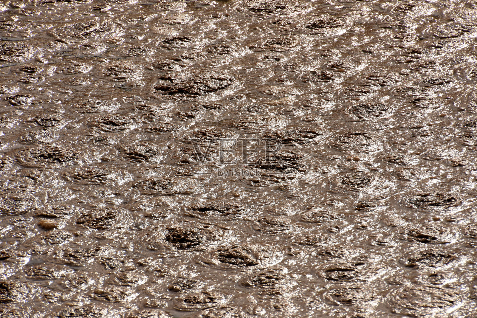 污水处理厂厚重污泥的抽象细节。照片摄影图片