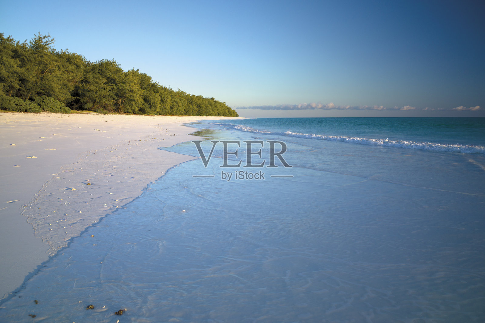 胡安德诺瓦岛 - 印度洋照片摄影图片