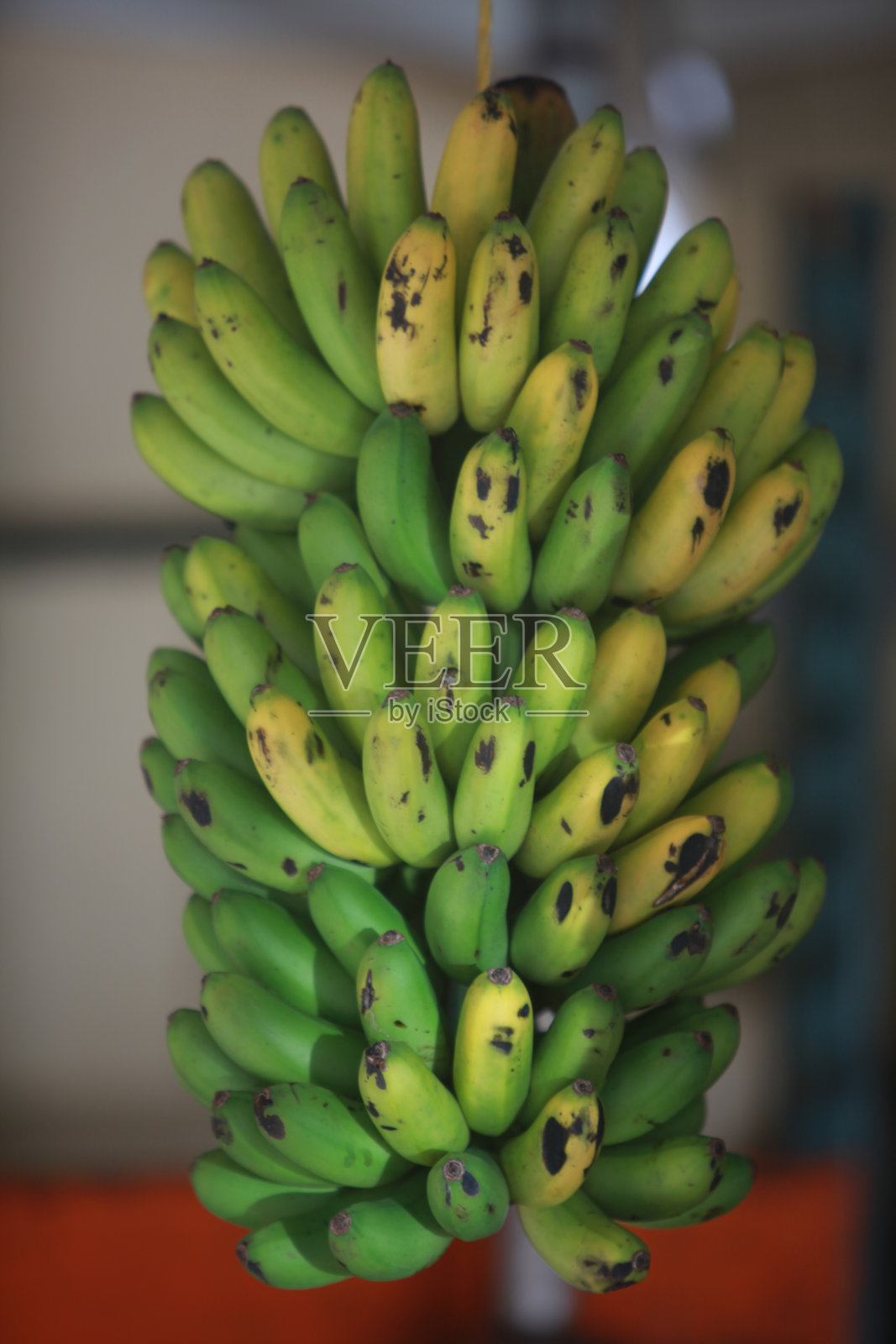 新鲜的绿香蕉在明亮的午间市场中悬挂售卖照片摄影图片