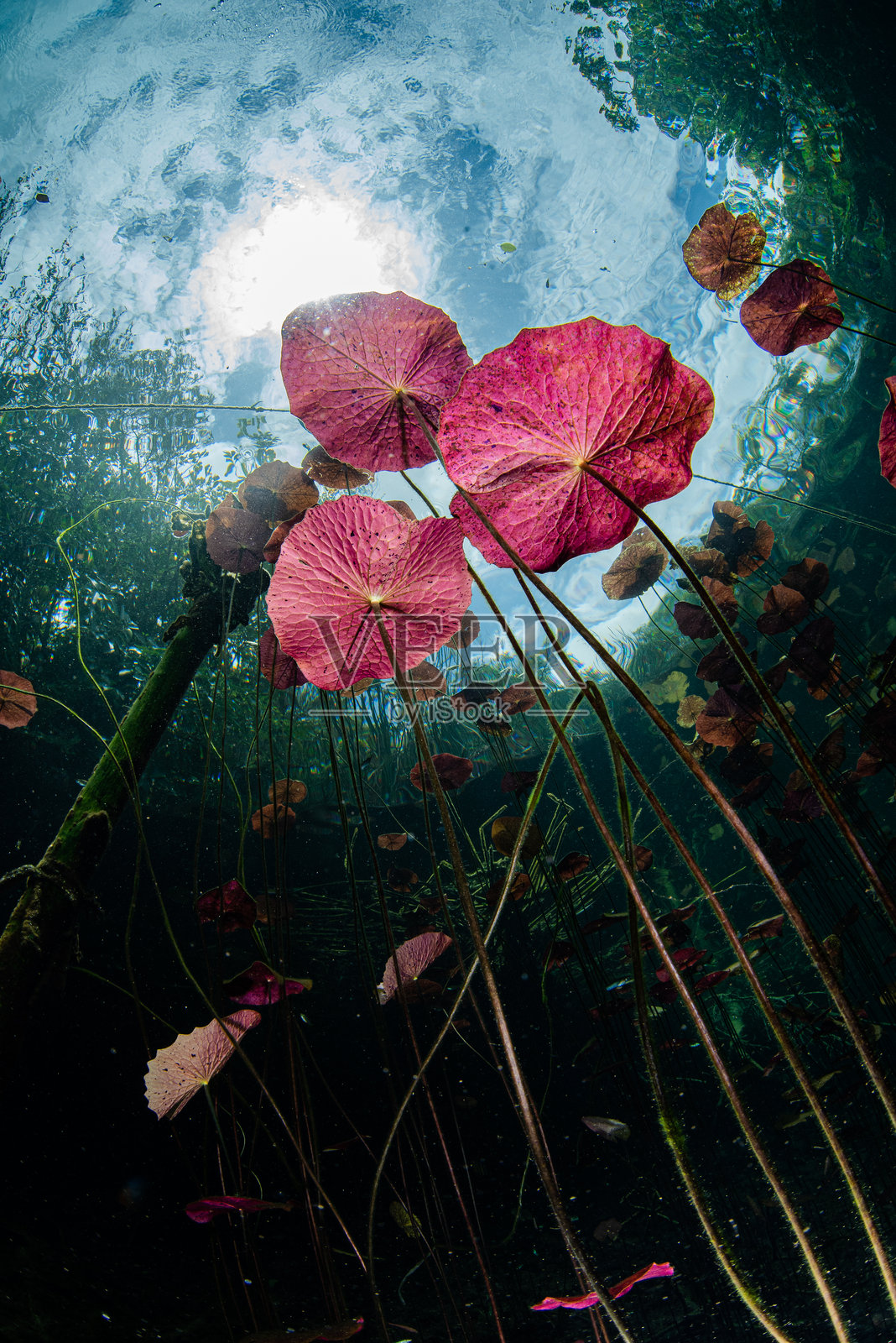 莉莉丝天坑照片摄影图片