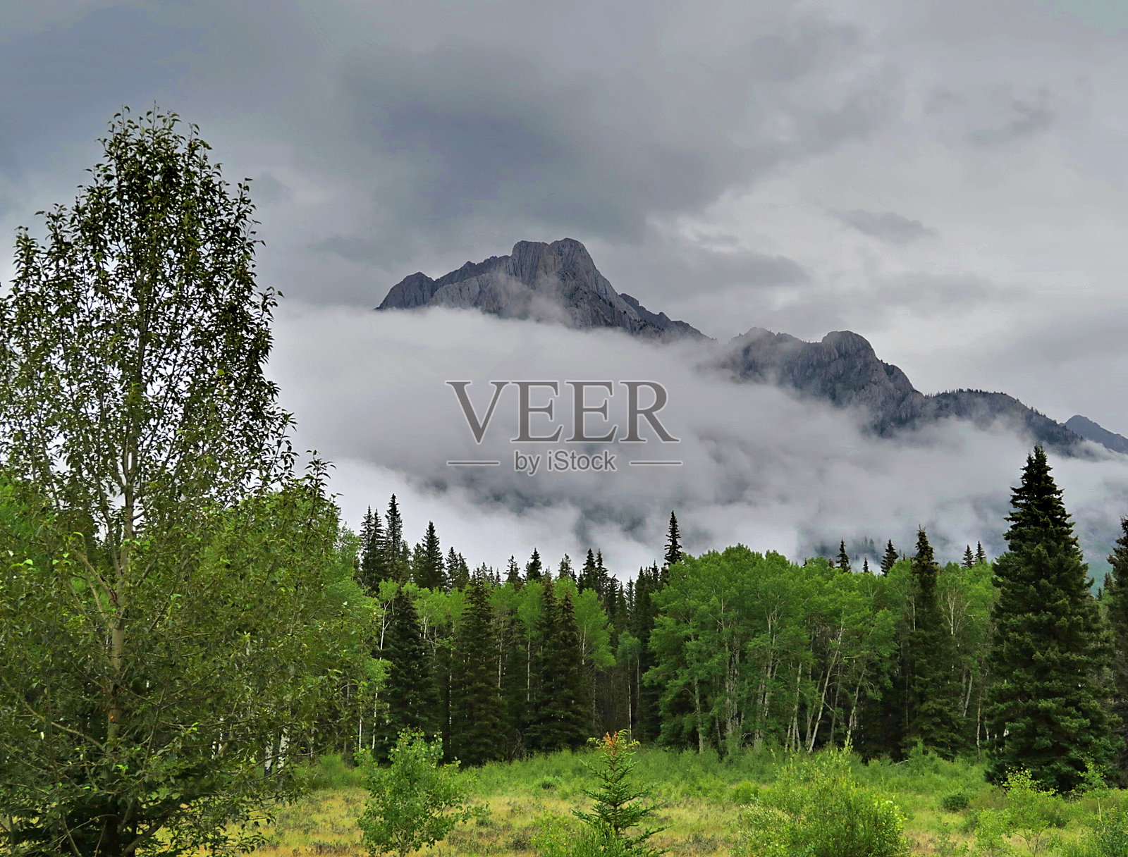 高山草甸照片摄影图片