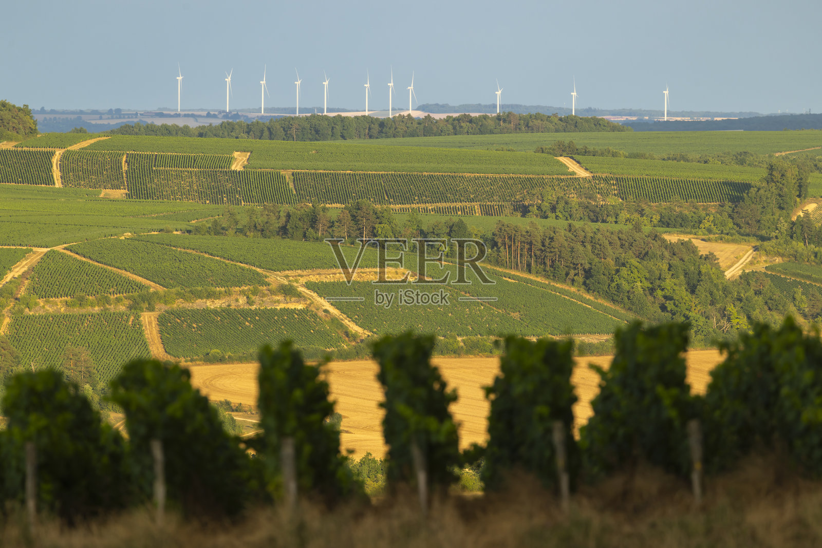 乡村风景中的葡萄园和风力涡轮机照片摄影图片