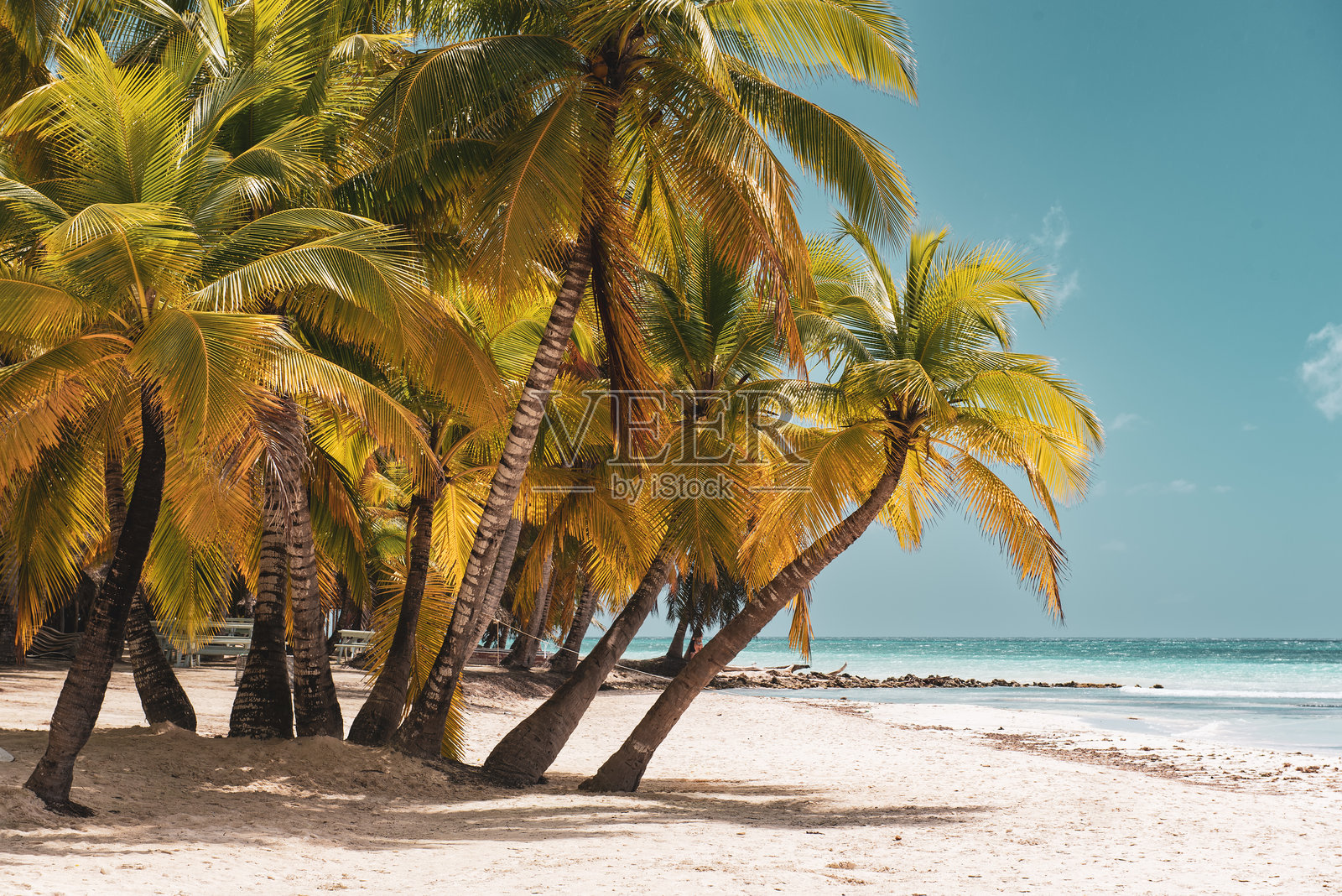 加勒比海热带海滩，多米尼加共和国照片摄影图片