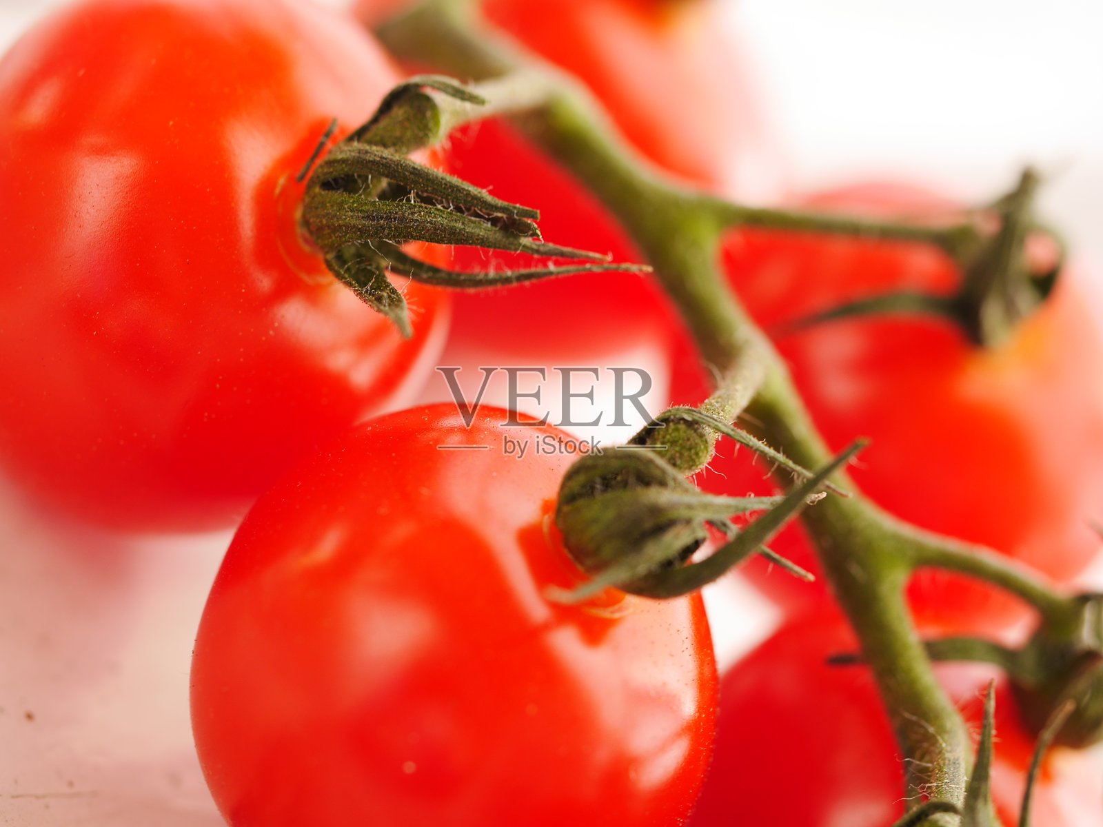特写镜头，带茎的红色番茄照片摄影图片
