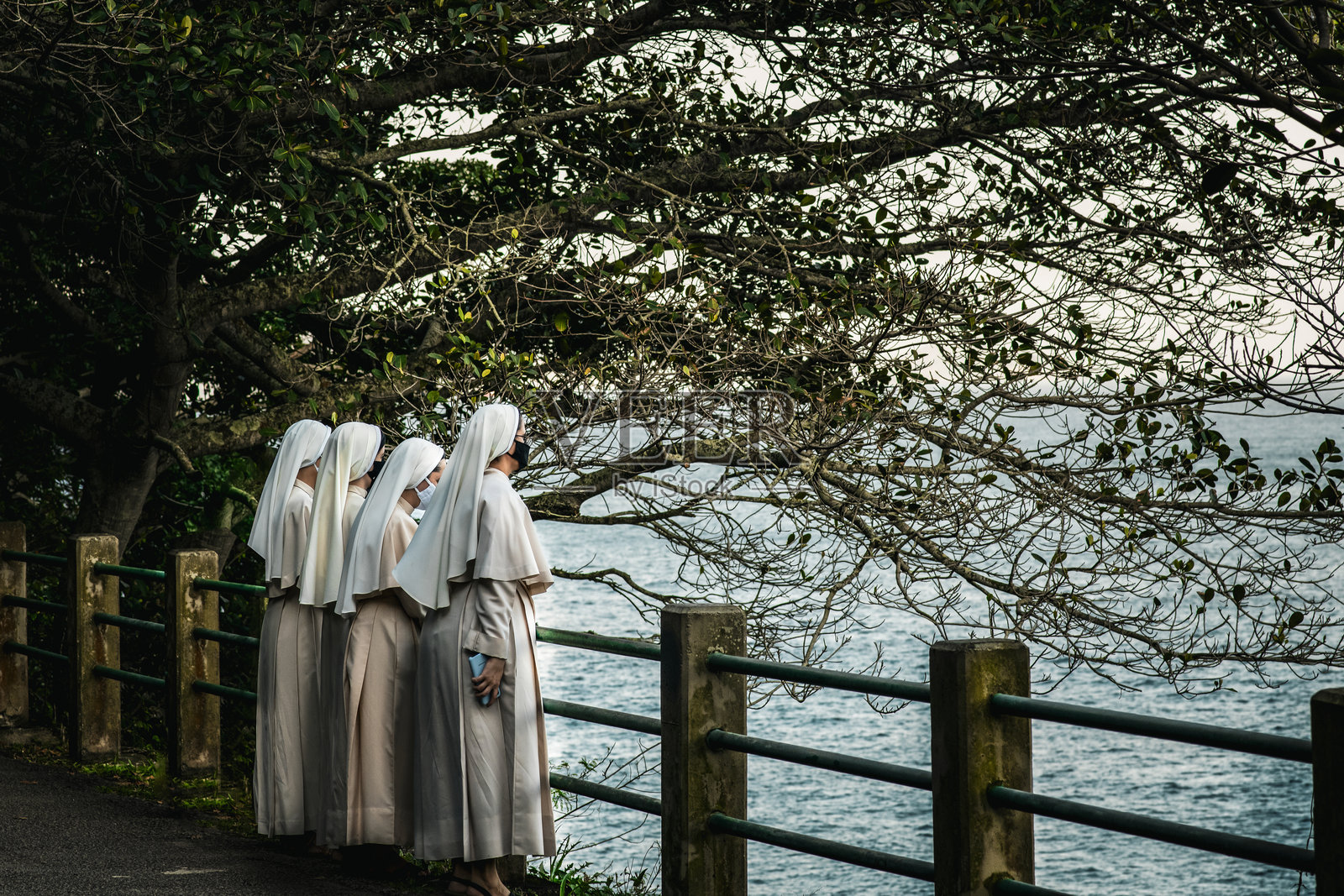 一群修女在巴西里约热内卢凝视大海照片摄影图片
