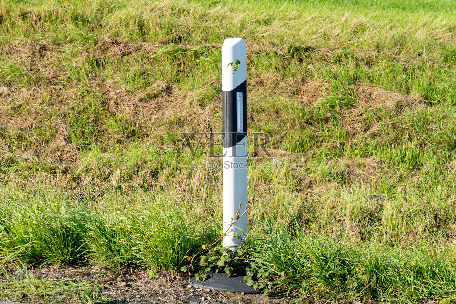 一个笔直、竖立的黑白反光路边柱，立在纹理草坡上，草坡上有浓绿和枯黄的草混合生长。照片摄影图片