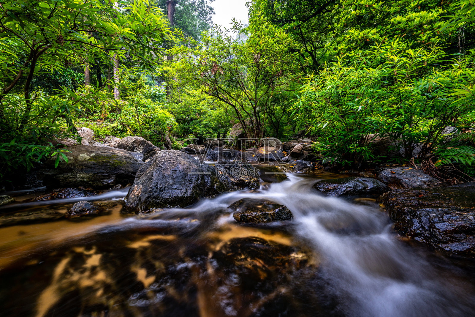 雨季里，溪流在葱郁的森林中越过岩石潺潺流淌照片摄影图片