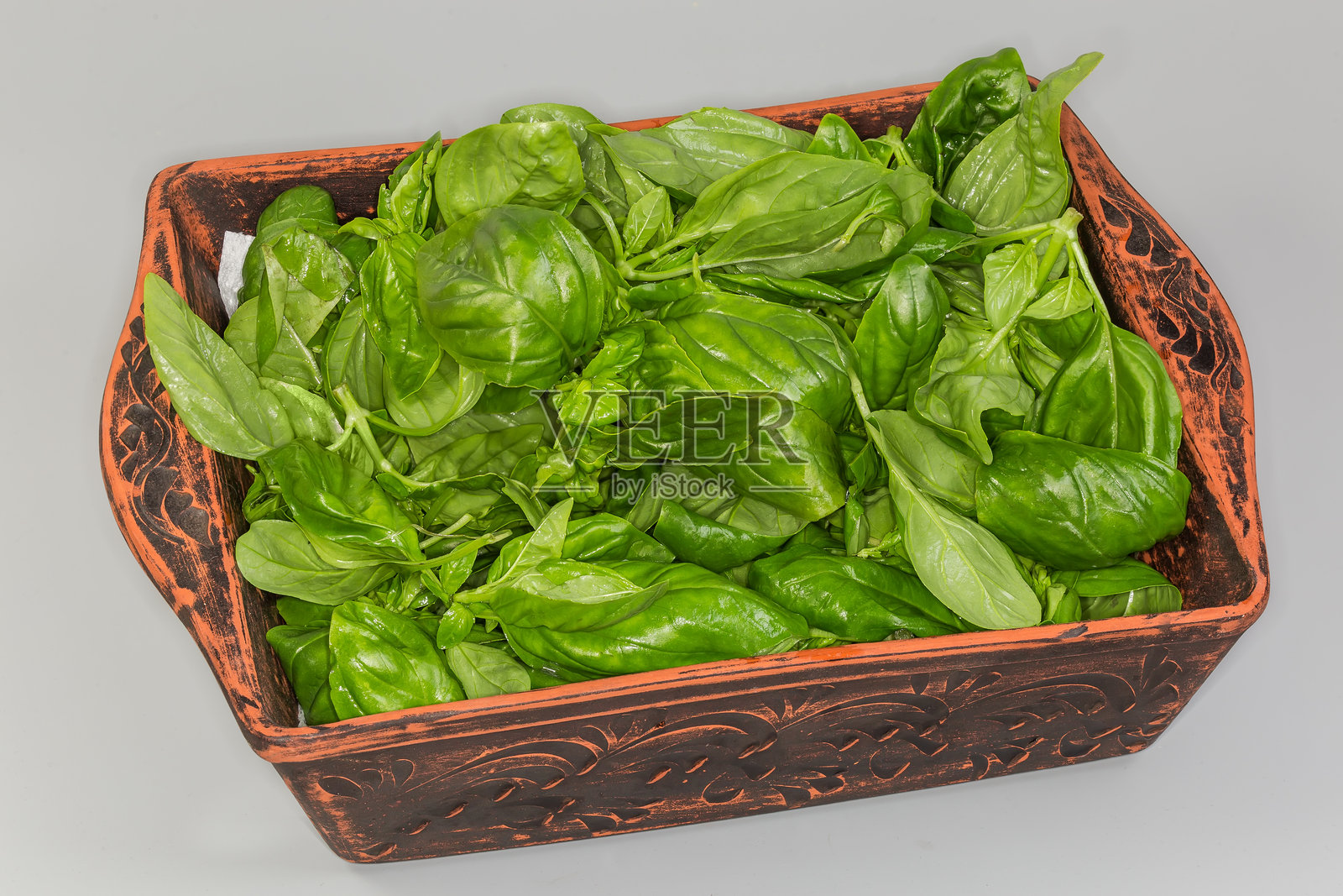 洗净的九层塔绿叶放在陶土烤盘上照片摄影图片