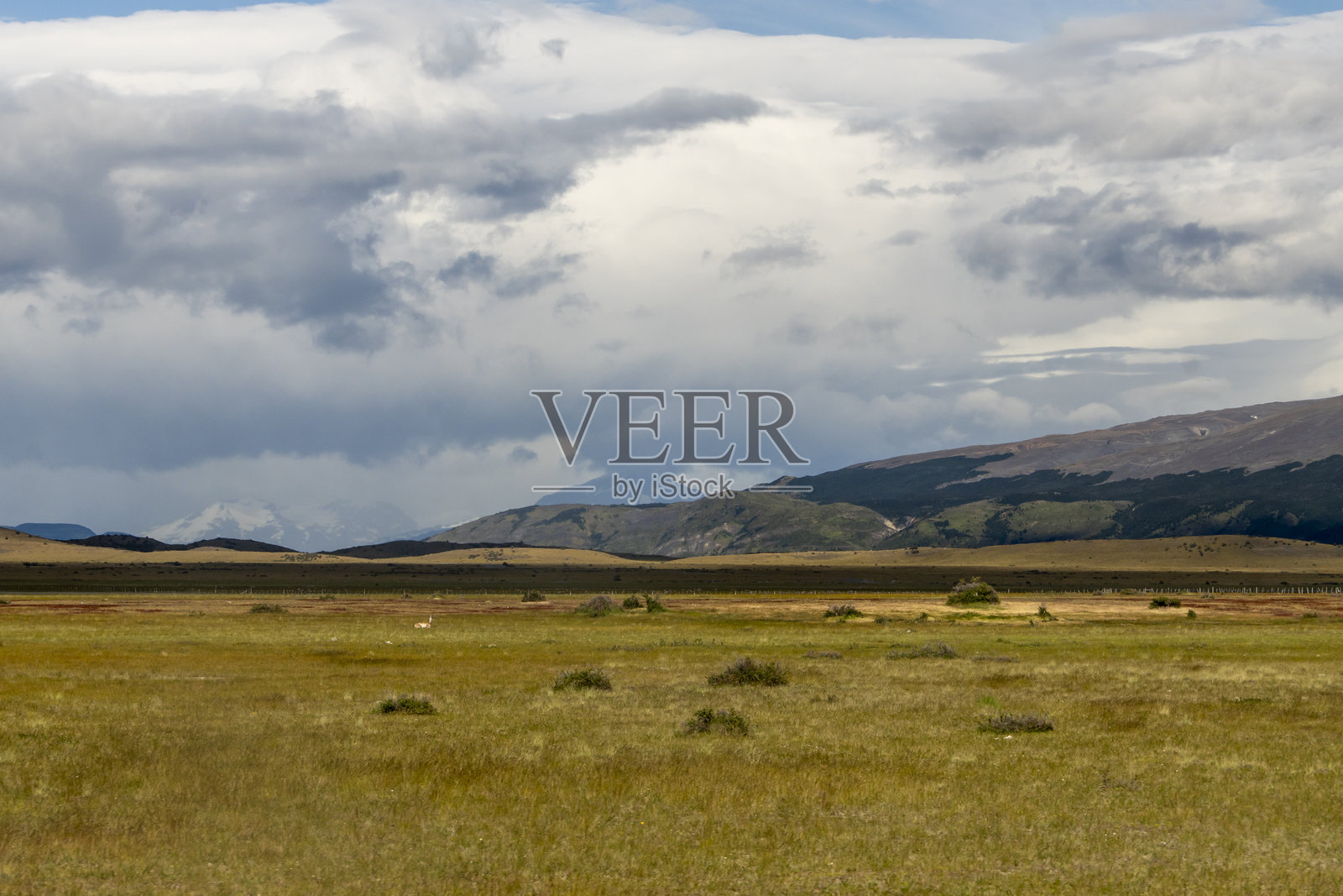 通往智利巴塔哥尼亚百内塔的道路照片摄影图片