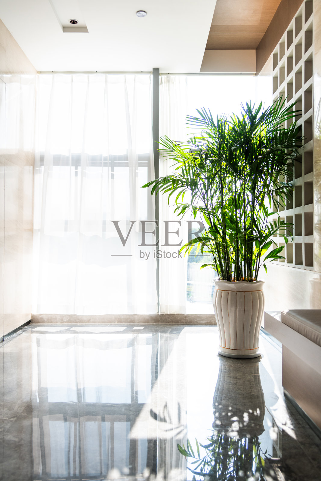 空荡荡的等候室，有长椅和盆栽植物照片摄影图片