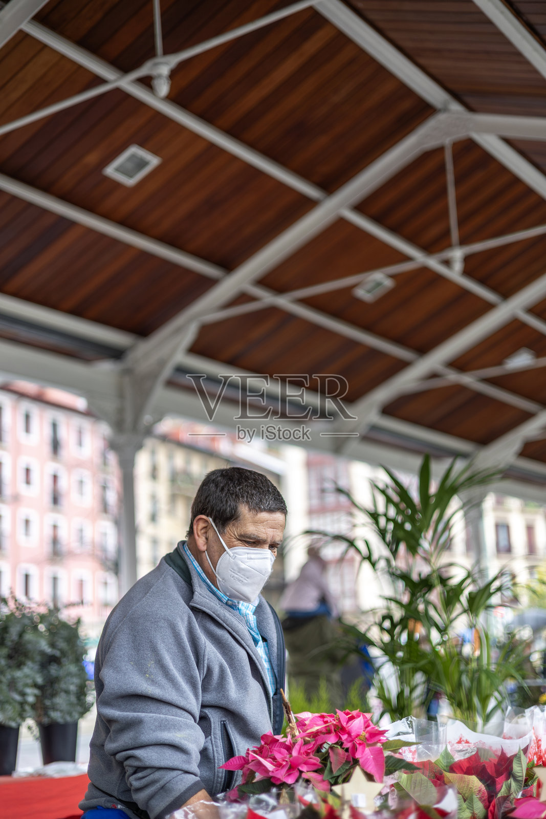 一名戴着FFP2防护口罩的男子在鲜花市场(Mercado de las Flores)的标志性屋顶下,看向待售的粉色一品红植物。照片摄影图片