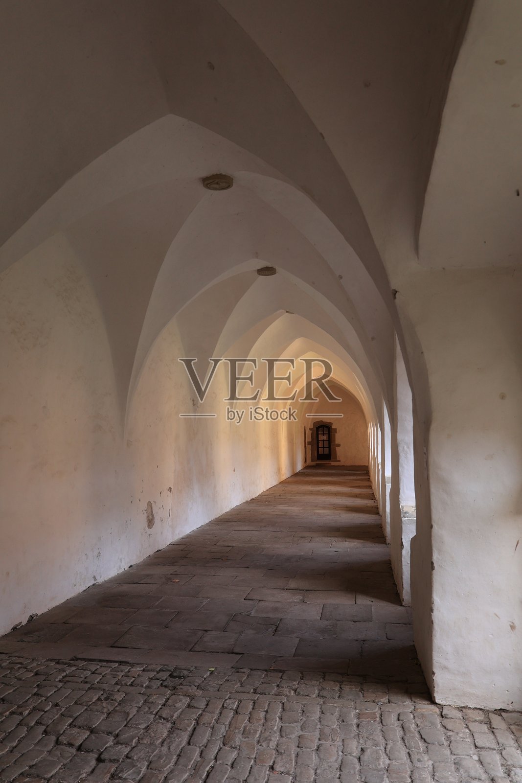 位于威悉高地的伦特恩附近的姆伦贝克修道院照片摄影图片