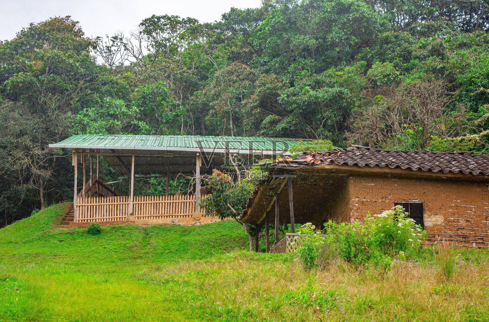哥伦比亚圣奥古斯丁考古遗址照片摄影图片