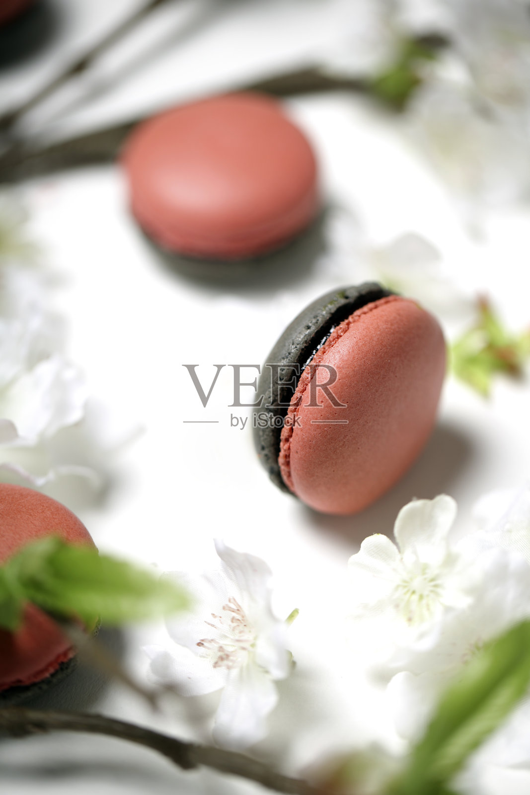 背景带有白色花朵的美味马卡龙照片摄影图片