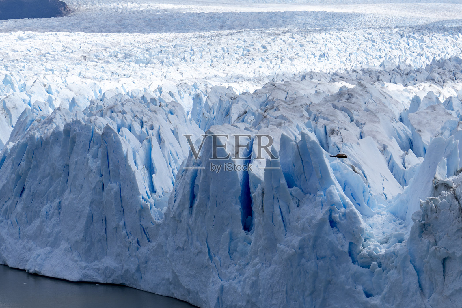 “俾斯麦冰川”是阿根廷圣克鲁斯省冰川国家公园内佩里托莫雷诺冰川的历史名称之一。照片摄影图片