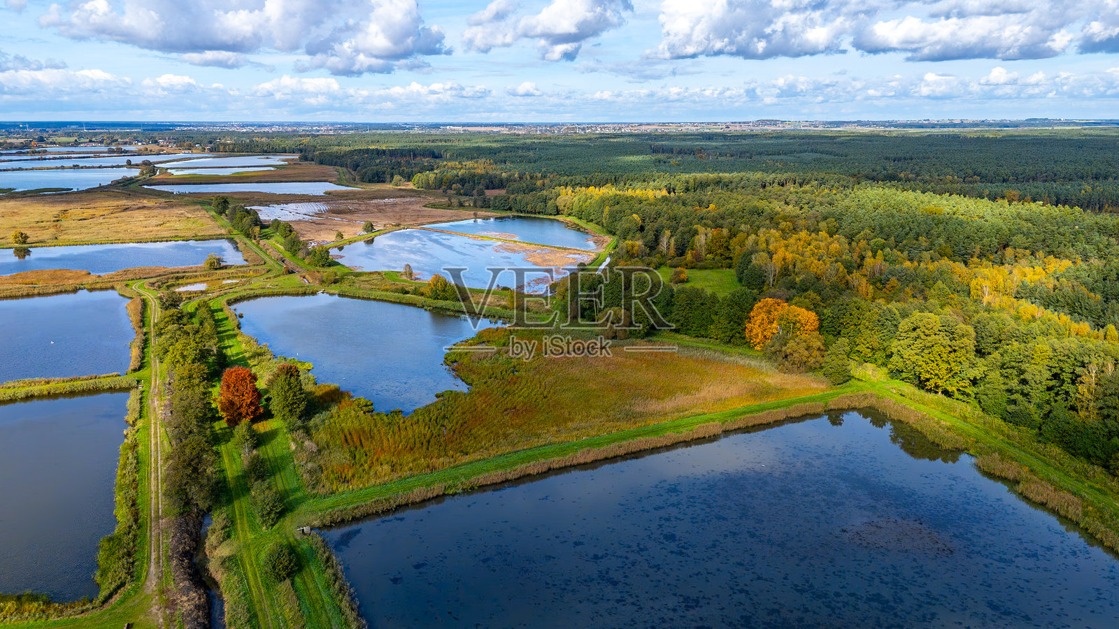 从无人机视角拍摄的秋季大型鱼塘，塘埂被森林环绕，展现了乡村景观中的水库布局照片摄影图片