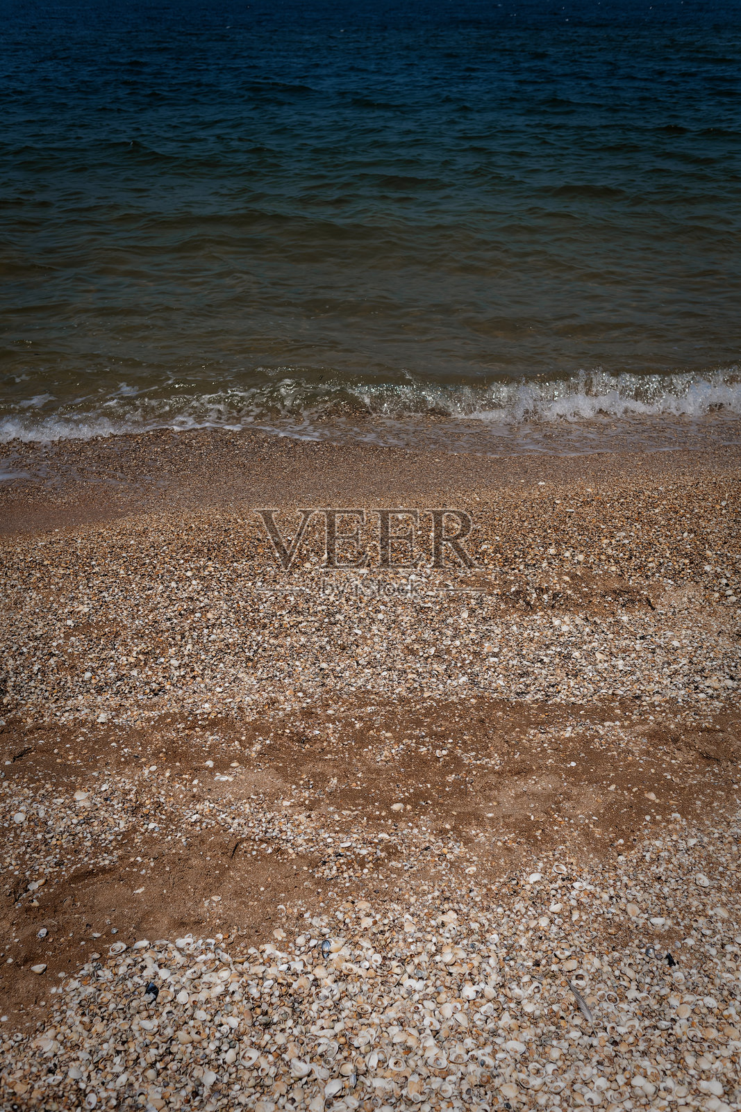 平静岸边的浅浪拍打着卵石和贝壳照片摄影图片