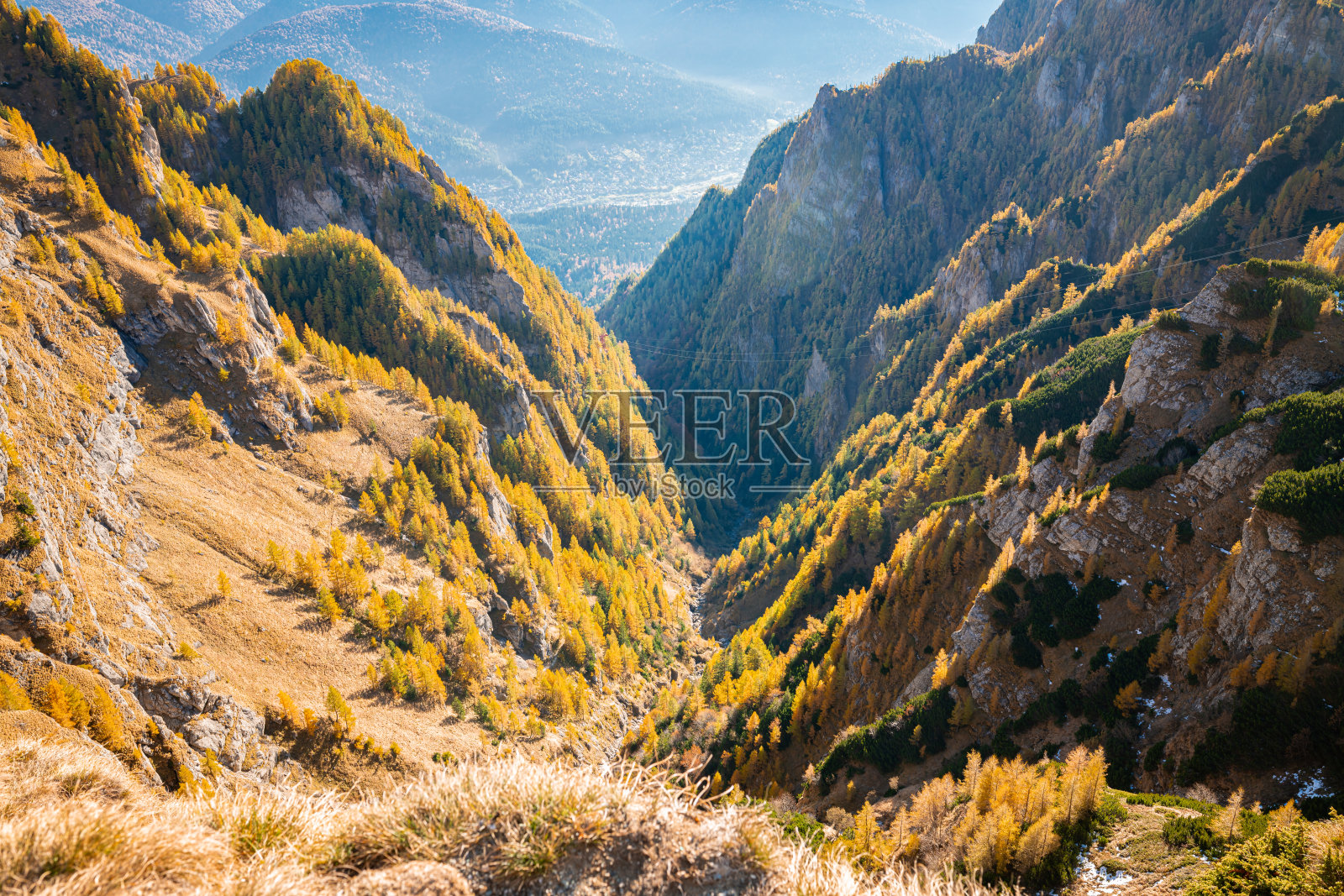 秋季峡谷美景，金黄落叶松与崎岖山峰照片摄影图片