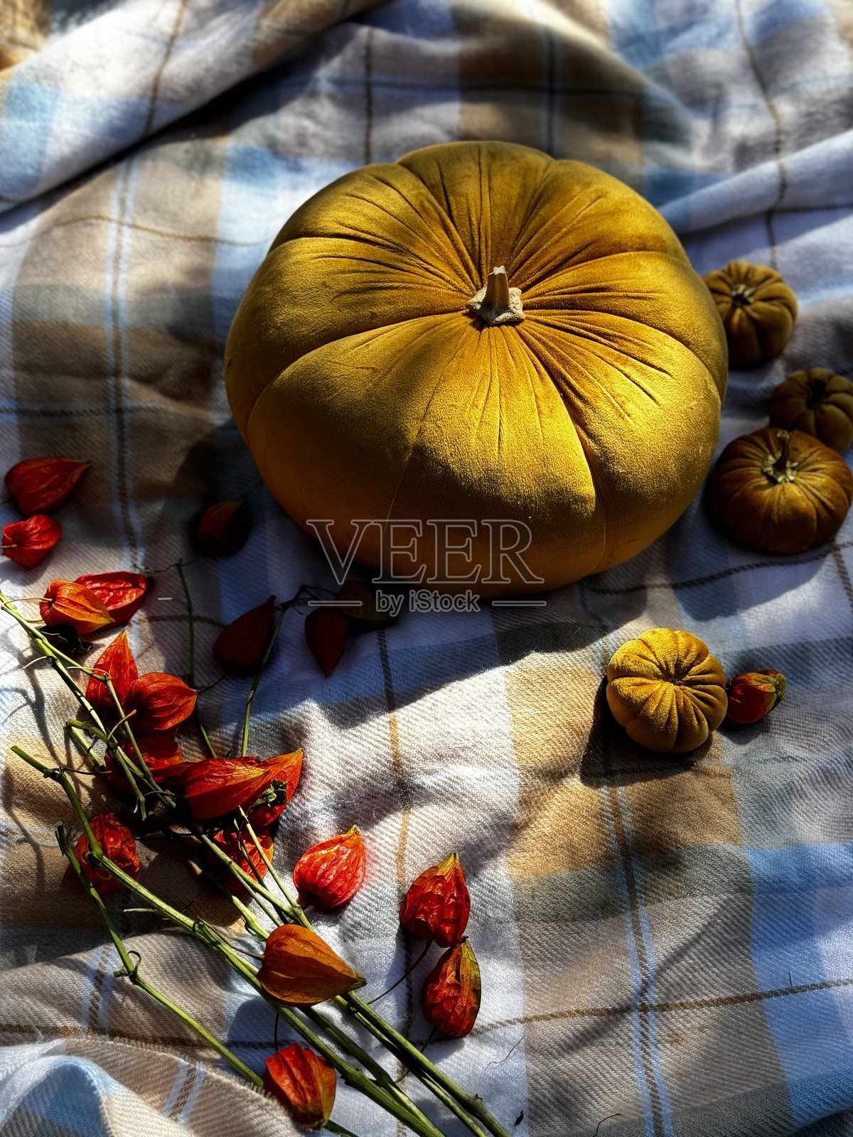 装饰性橙色南瓜，节日装饰照片摄影图片