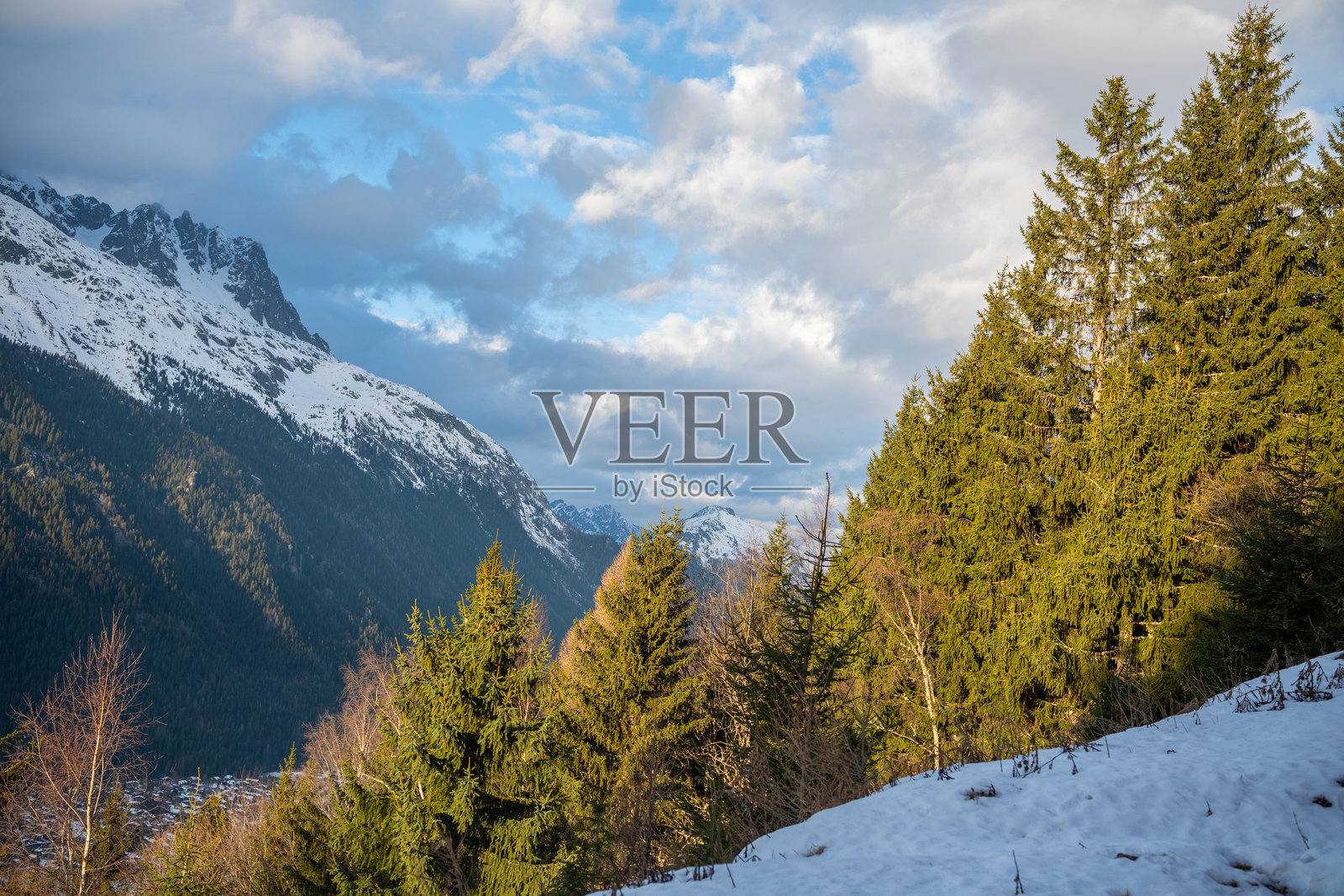 白雪覆盖的松树阿尔卑斯山坡，天空多云照片摄影图片