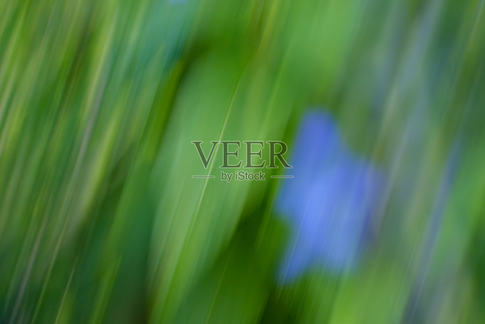 绿色和蓝色的抽象动态照片摄影图片