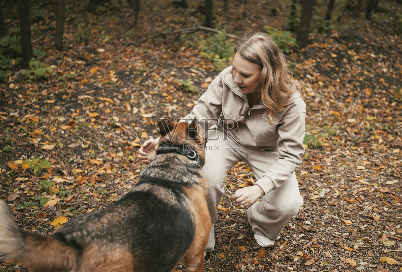 在宁静的秋林中，一位女士俯身与狗狗温情互动，地面铺满五彩落叶，她们共享着欢乐的时光。照片摄影图片