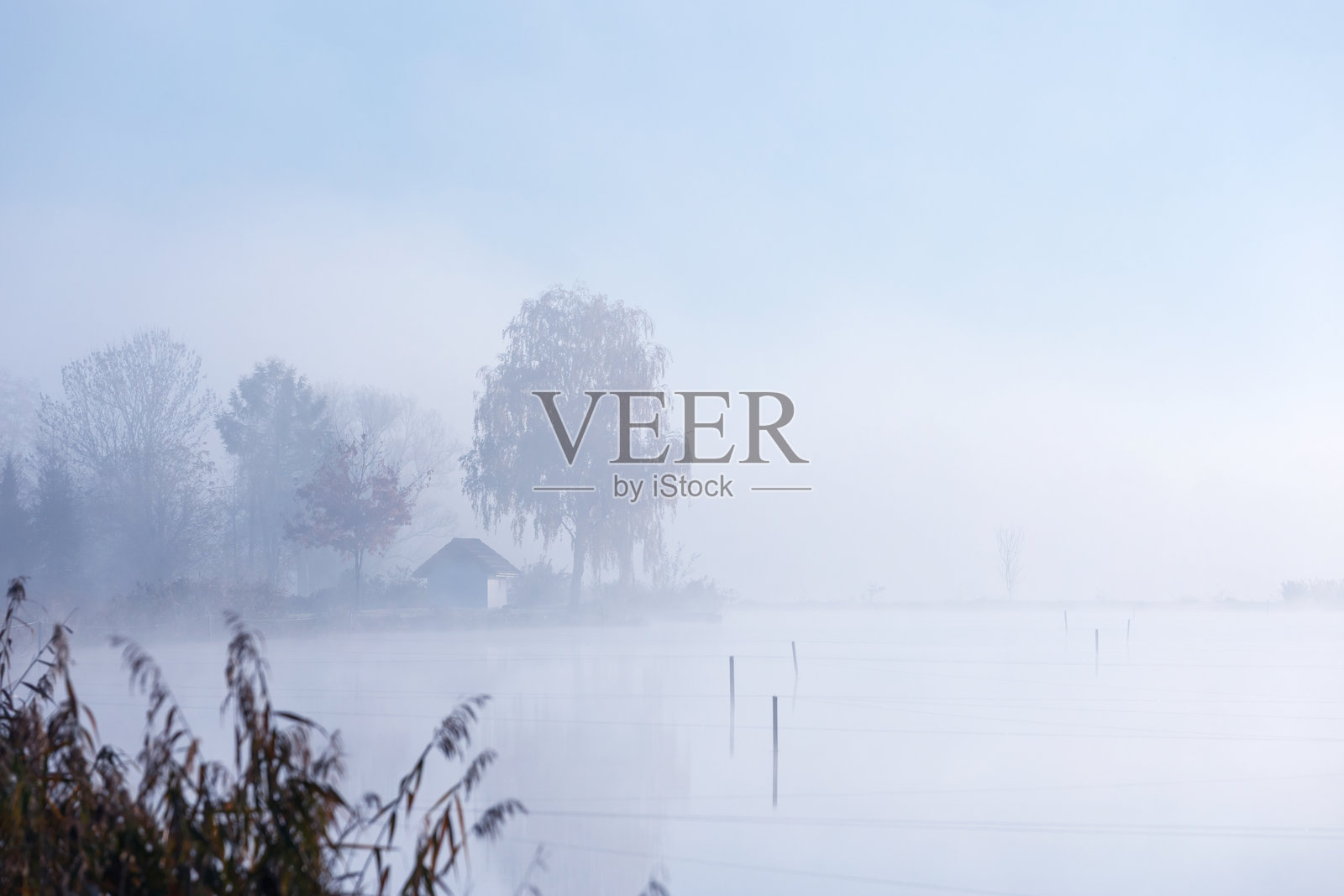 远处的树木在薄雾的早晨笼罩着湖面照片摄影图片