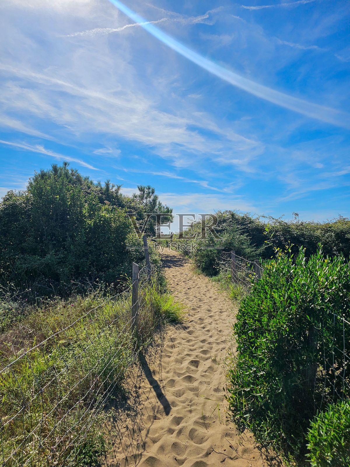 穿过葱郁绿植的沙石小路照片摄影图片