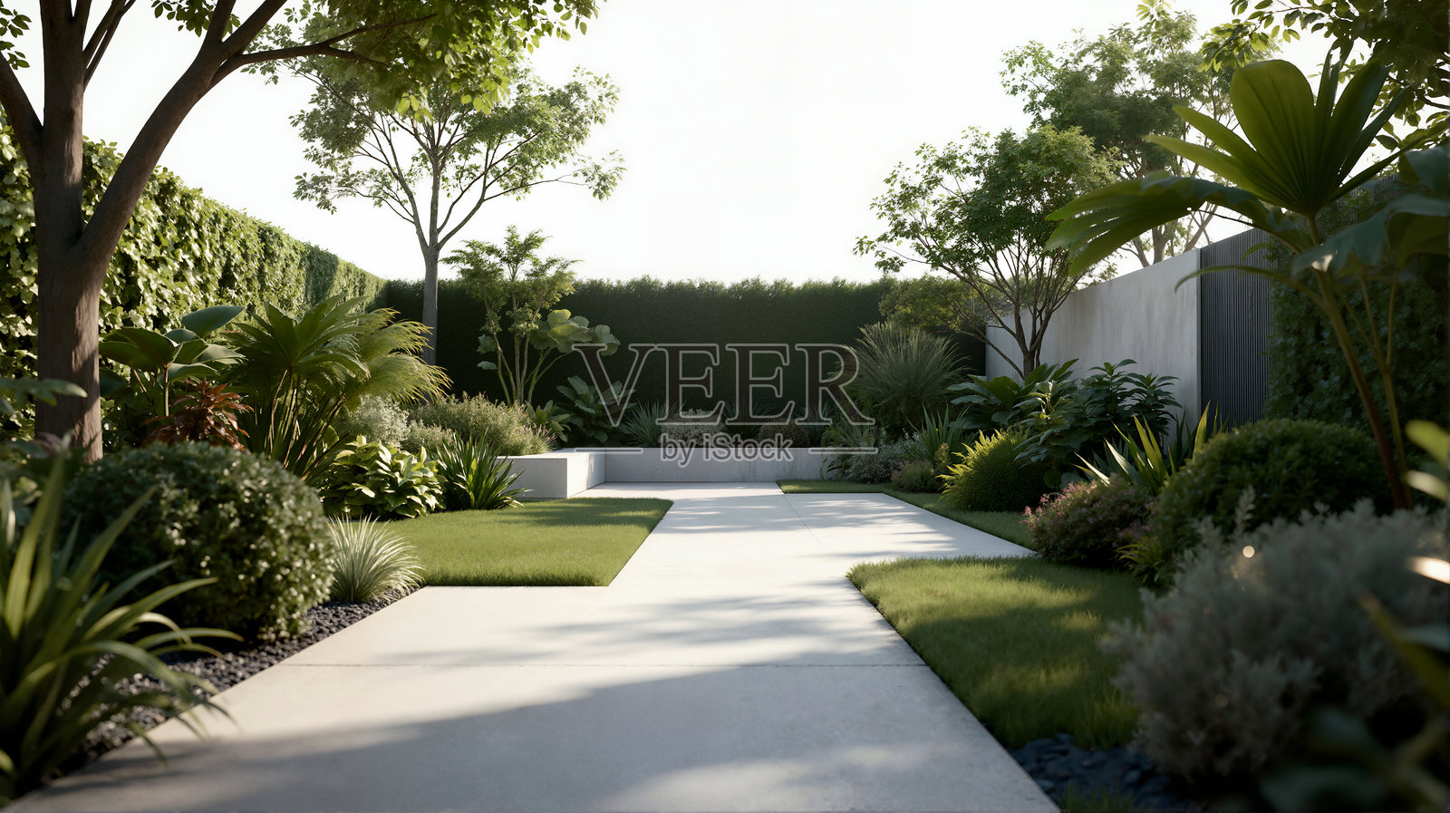 干净现代的后院景观照片摄影图片