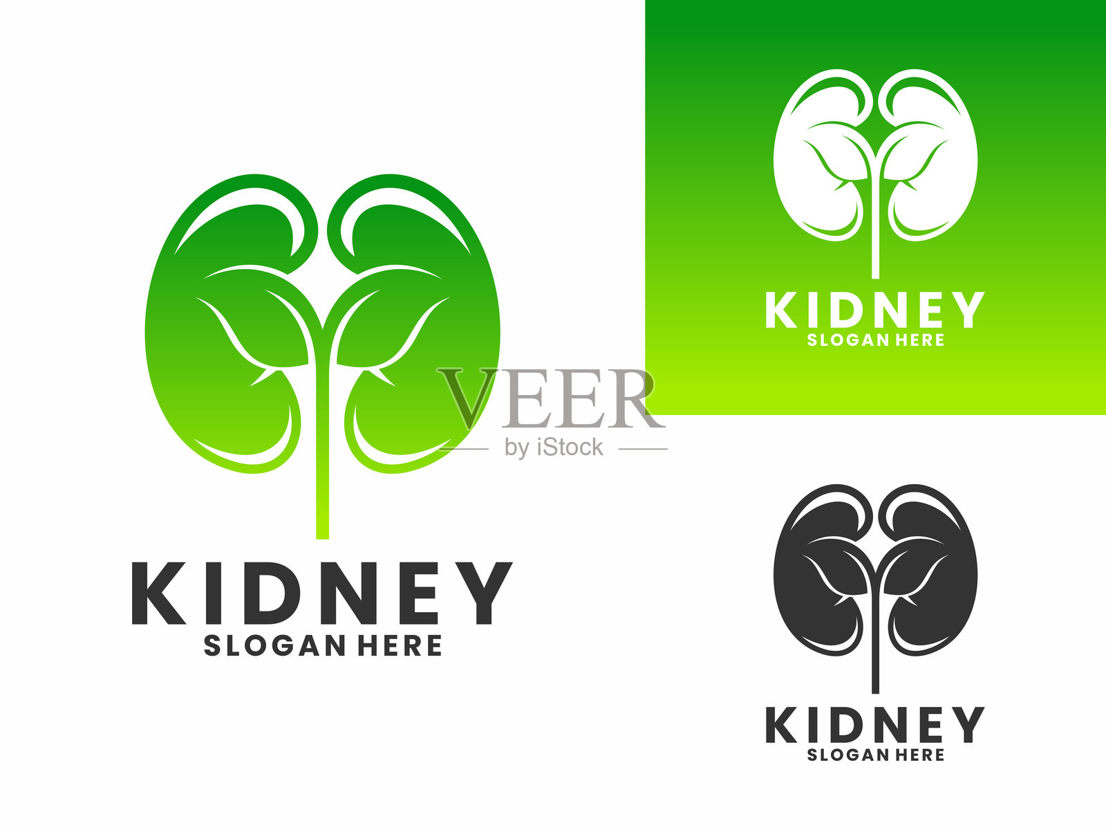 肾脏叶子标志设计矢量模板。健康的肾脏带有叶子标志设计矢量插画图片素材