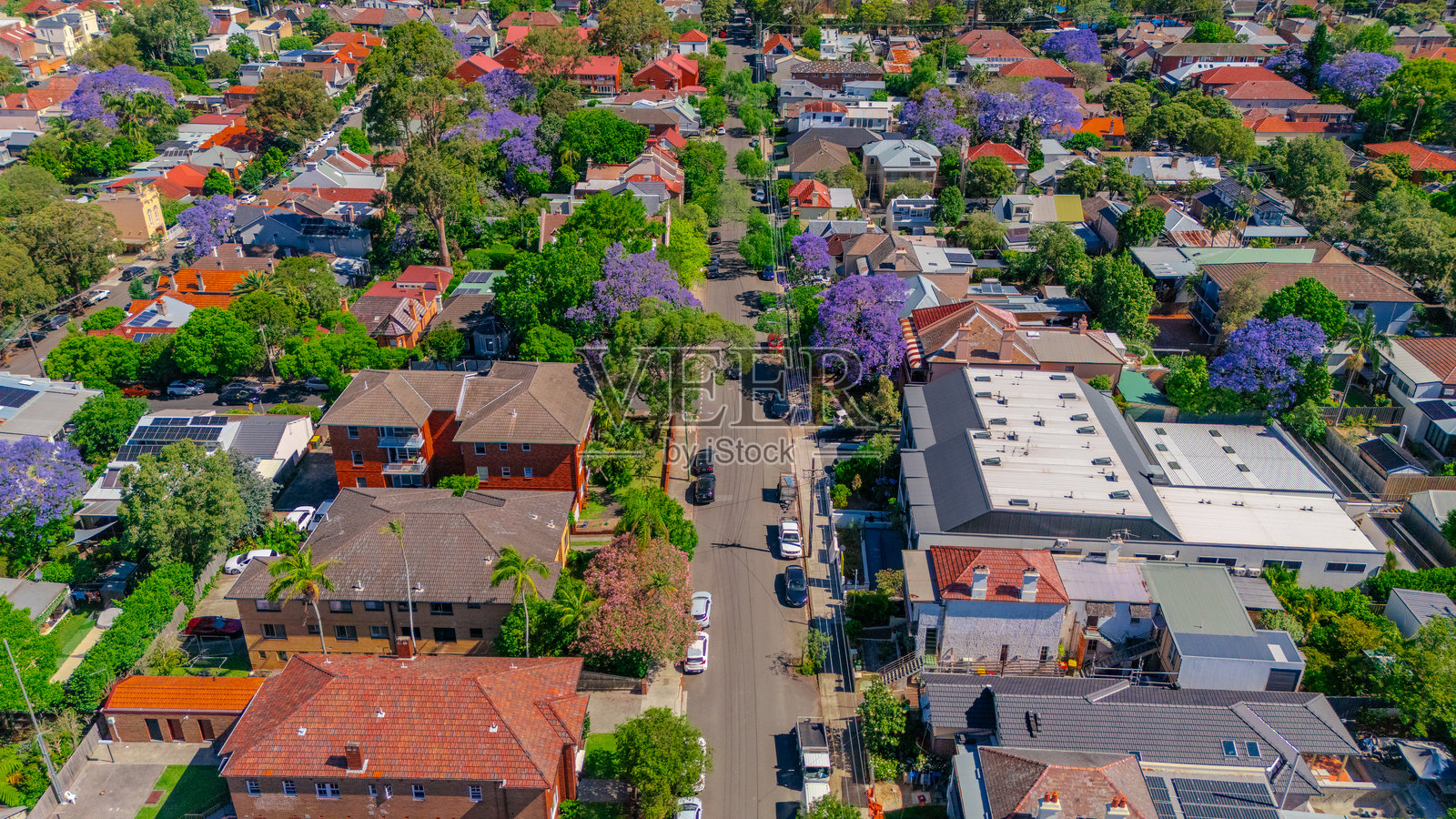 悉尼新南威尔士州，夏季山、莱西哈姆、阿什菲尔德郊区联邦住宅的无人机鸟瞰全景照片摄影图片