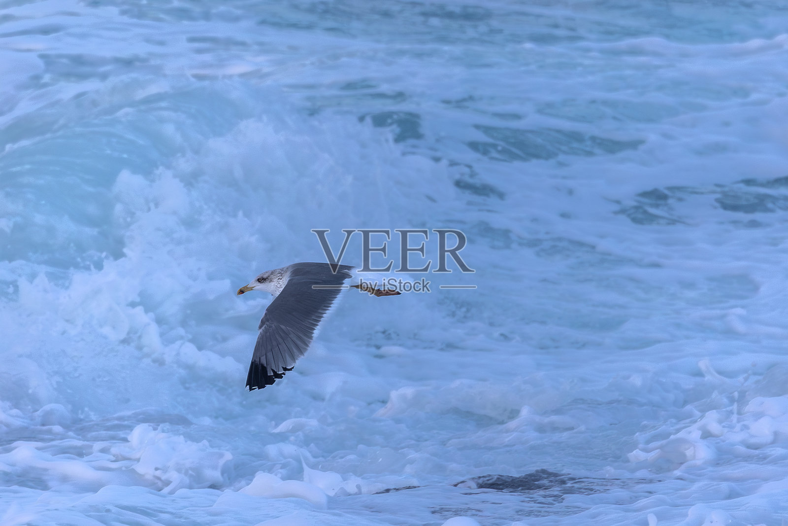 强风巨浪照片摄影图片