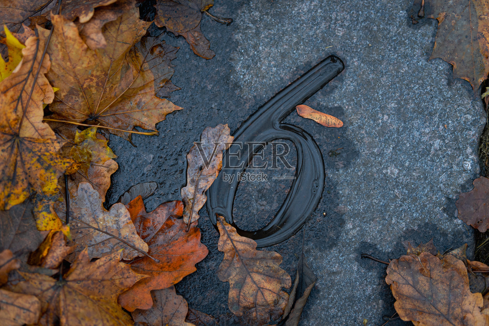 数字六雕刻在石头上，周围环绕着湿漉漉的落叶，象征着季节性环境中的连续性、和谐与自然平衡照片摄影图片