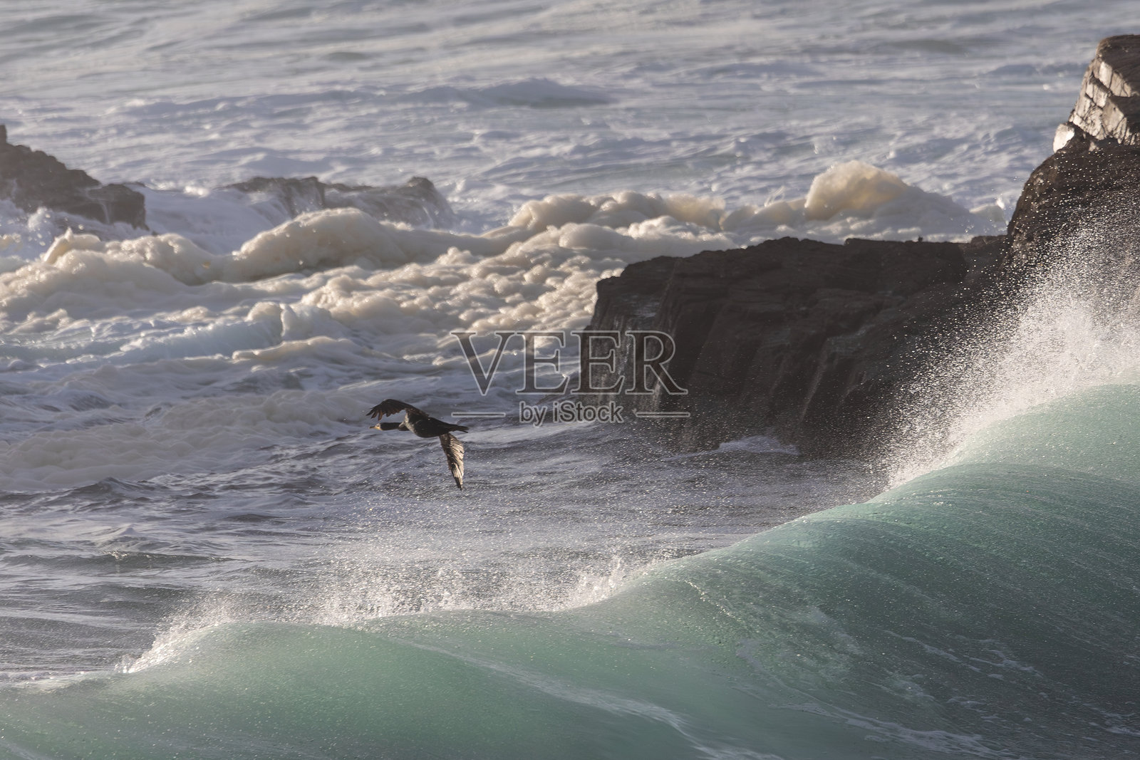 狂风巨浪照片摄影图片