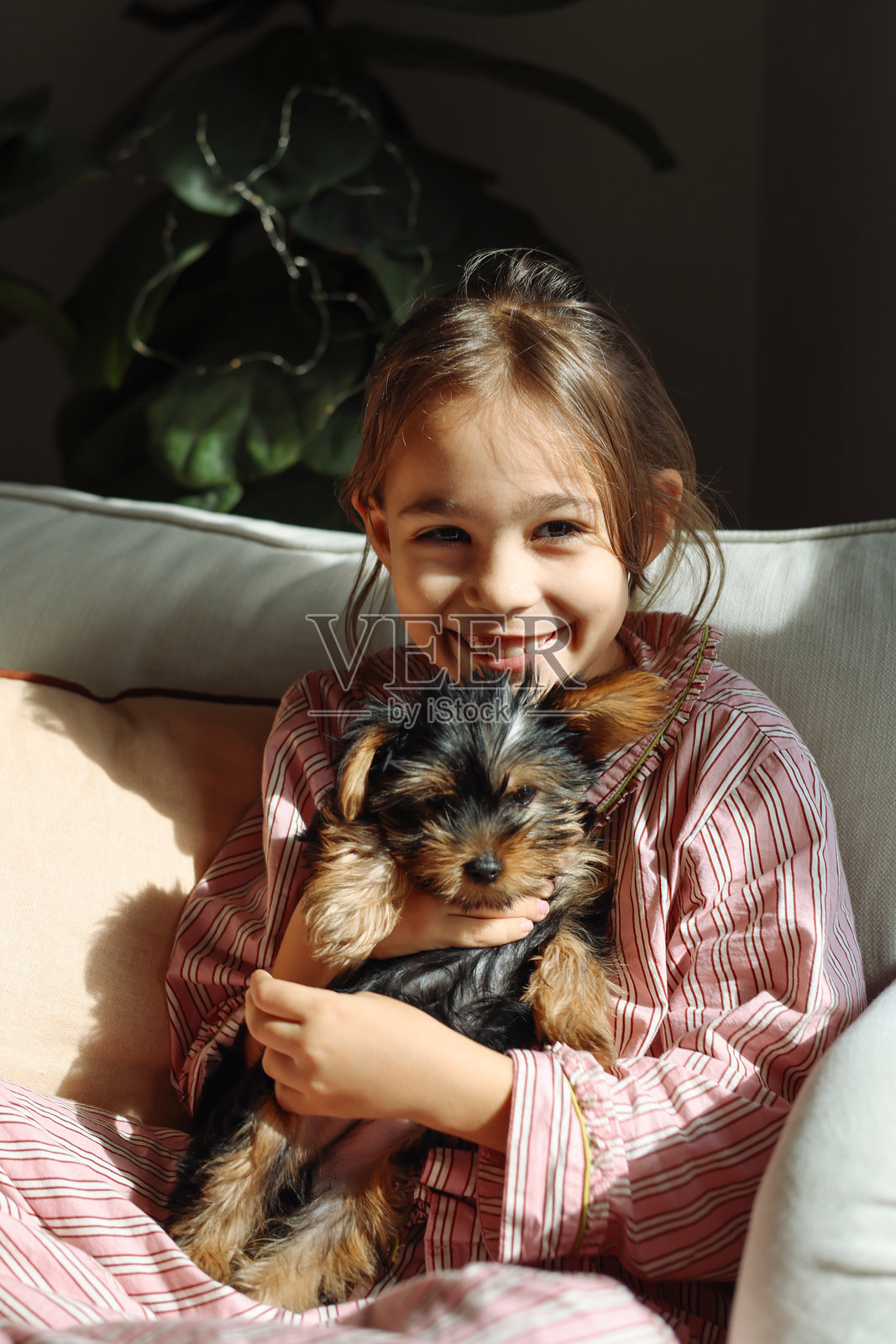 小女孩在沙发上和狗狗玩耍照片摄影图片