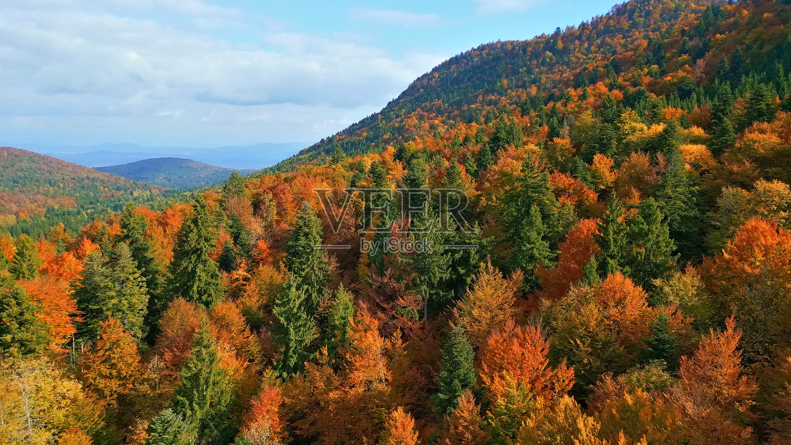 秋季森林，色彩斑斓的树叶和山脊照片摄影图片