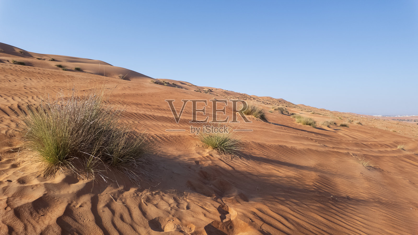 瓦希巴沙漠（Sharqiyah Sands）是阿曼一片广阔的金红色沙丘之地。照片摄影图片