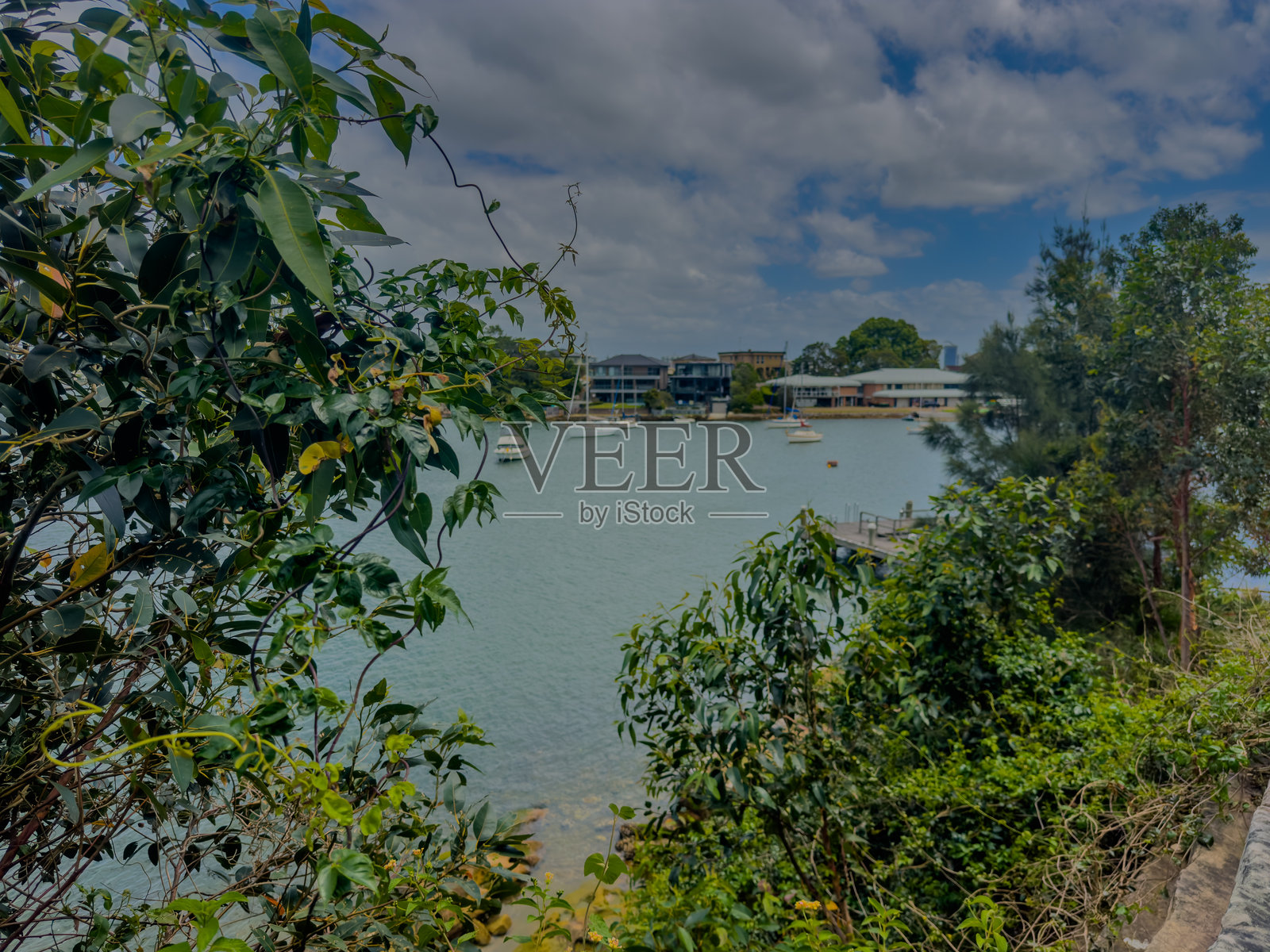 悉尼新南威尔士州，格莱兹维尔的班卓·帕特森公园，一个温暖的春日多云天，透过树林眺望帕拉玛塔河照片摄影图片