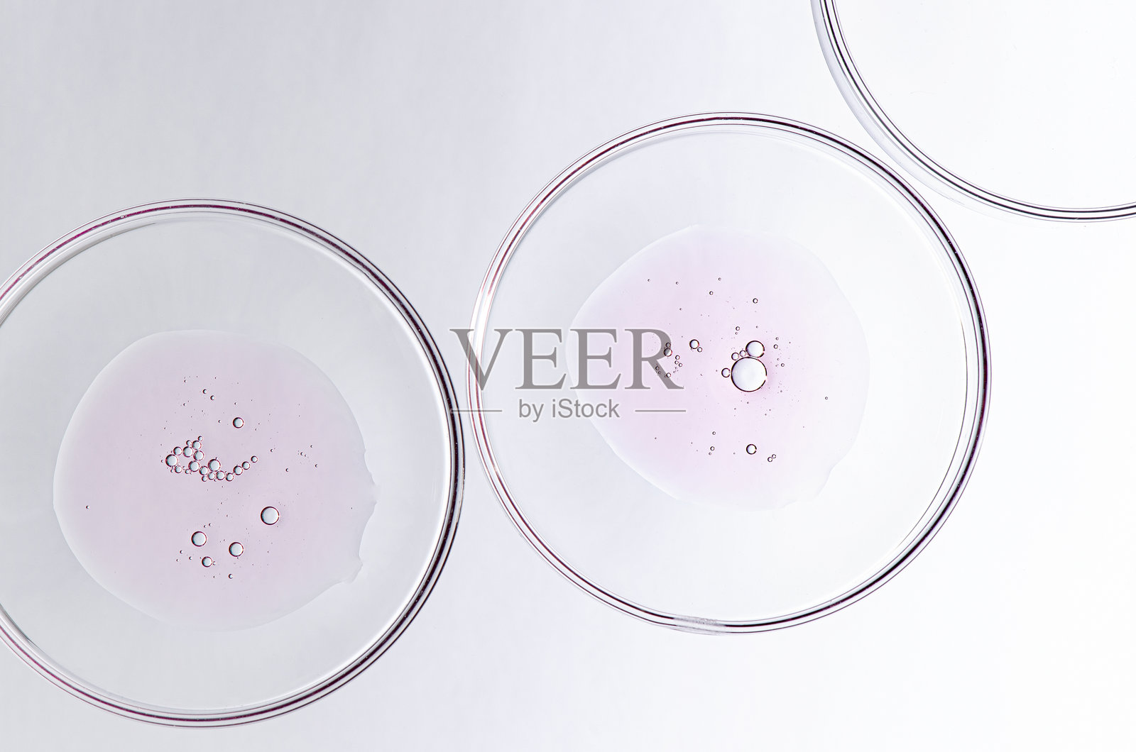 培养皿中的身体化妆品样本。照片摄影图片