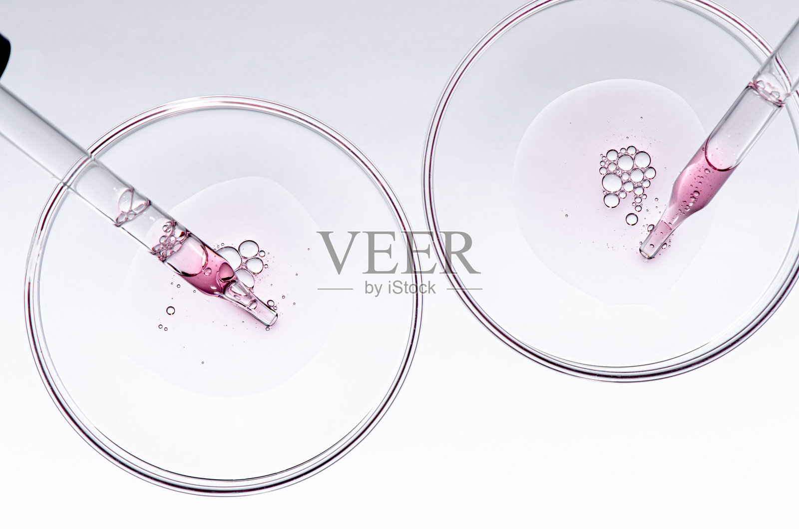 培养皿中的身体化妆品样本照片摄影图片