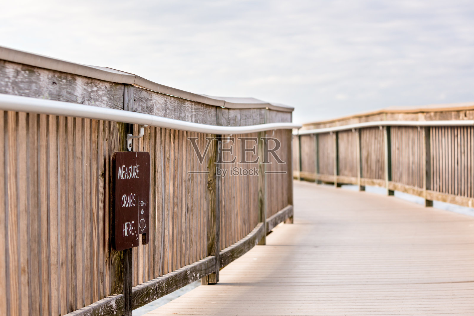 马里兰州大洋海滨国家海岸用于测量螃蟹的标志照片摄影图片