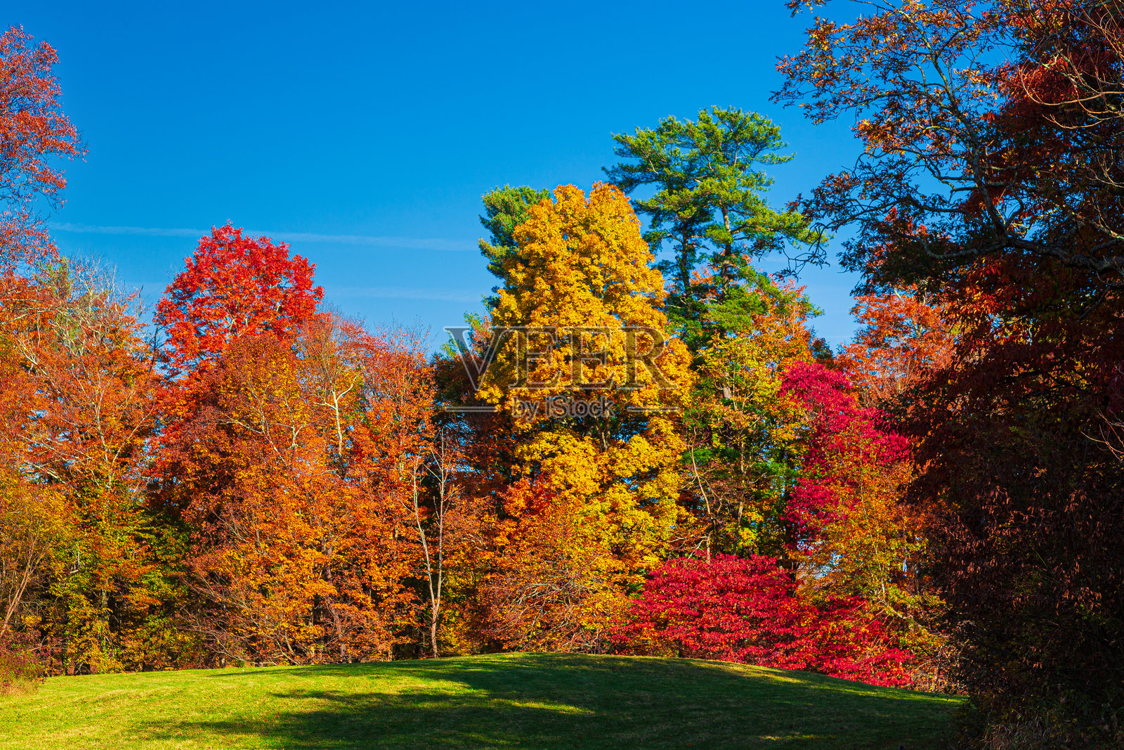 秋季色彩的树木与蓝天下的风景，哈德逊河谷纽约诗人步道公园。照片摄影图片