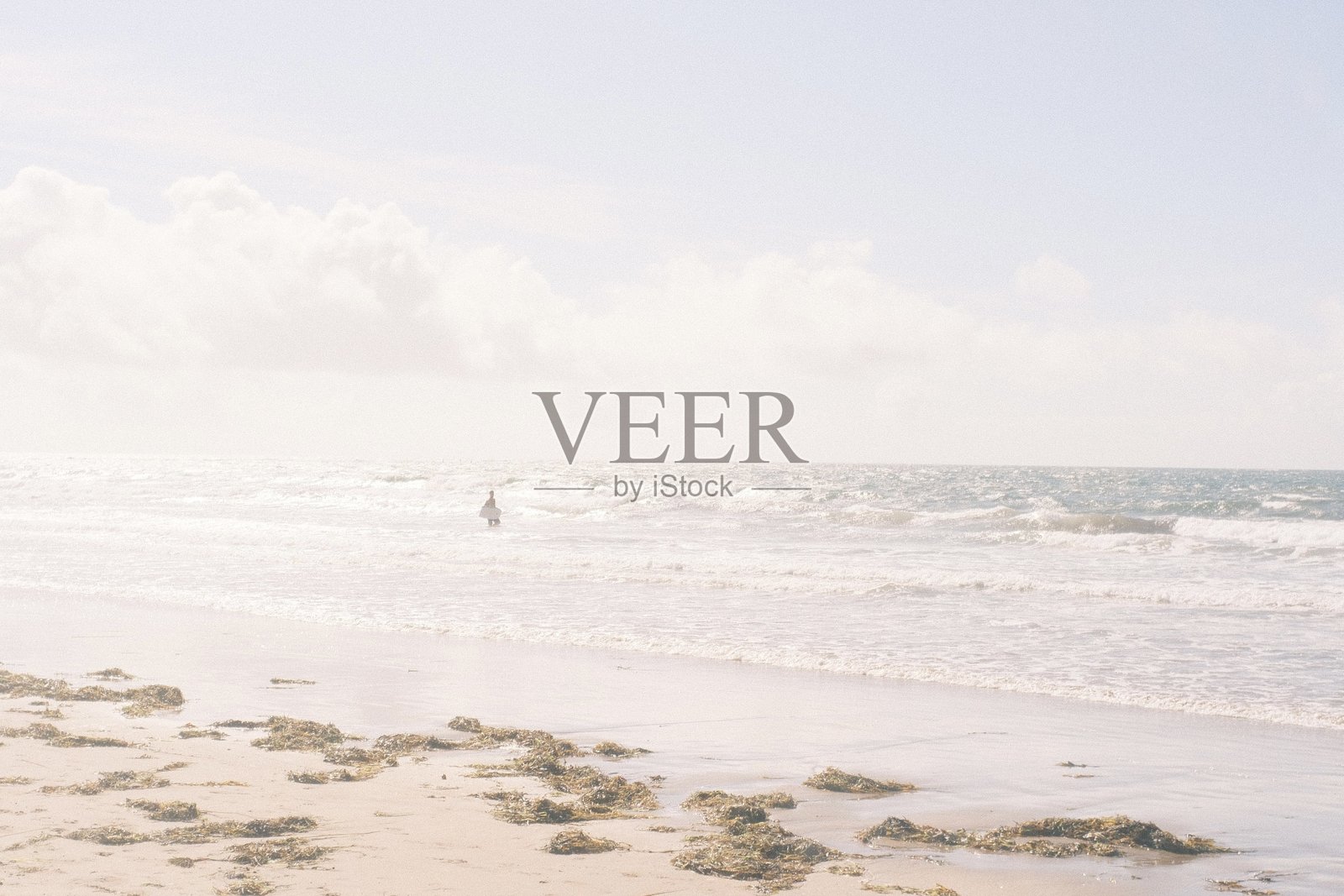 康拉德海滩 06照片摄影图片