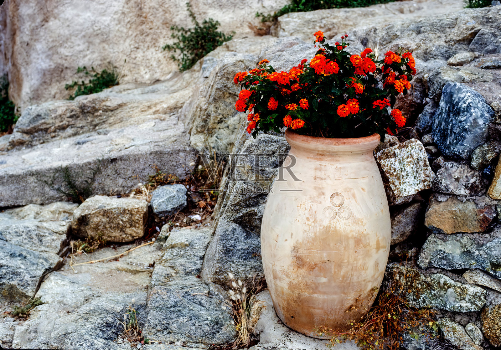 石头台阶上摆放着装有天竺葵的陶罐照片摄影图片
