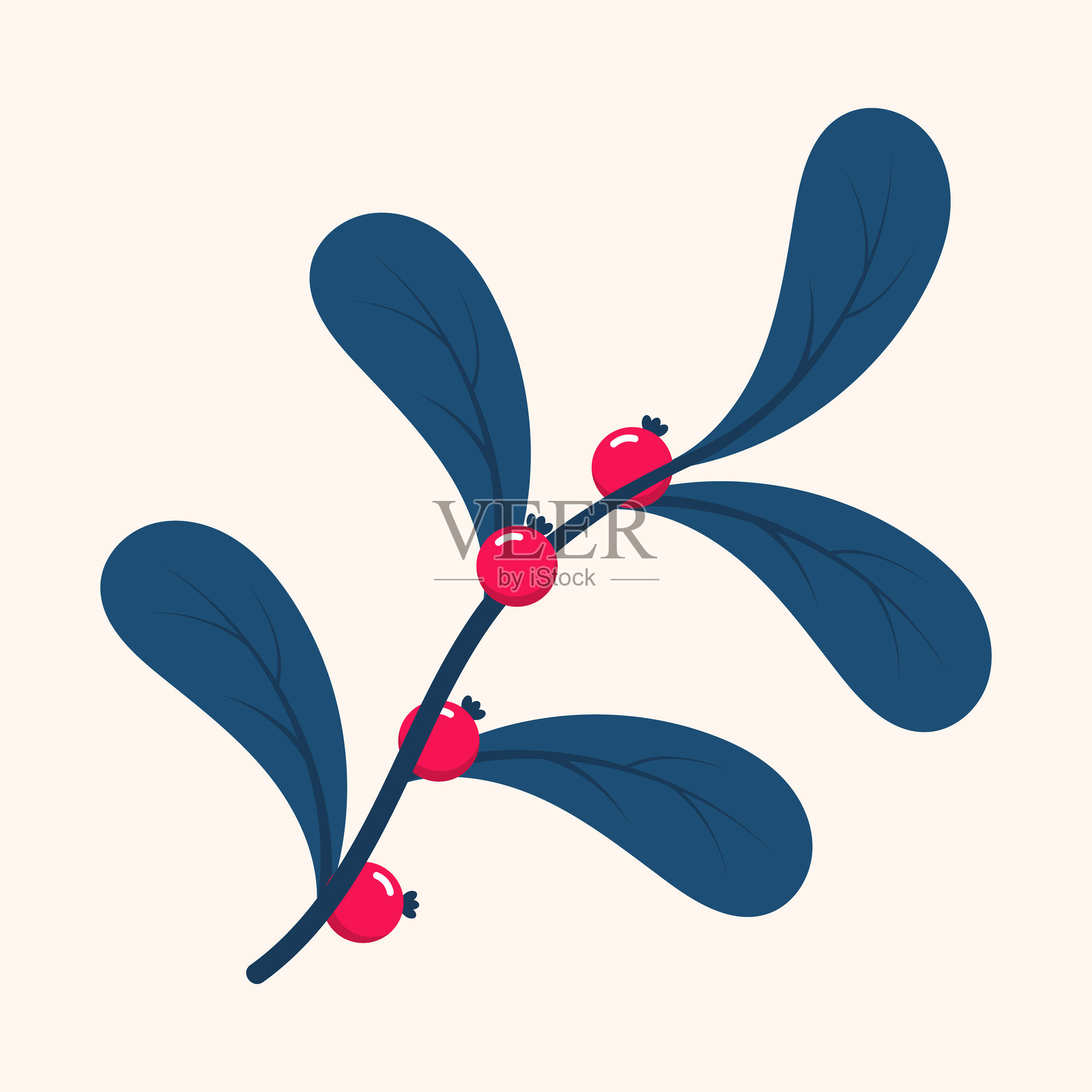 红色的浆果。冬季植物。冬季枝叶。冬季花卉元素。节日装饰。矢量图插画图片素材