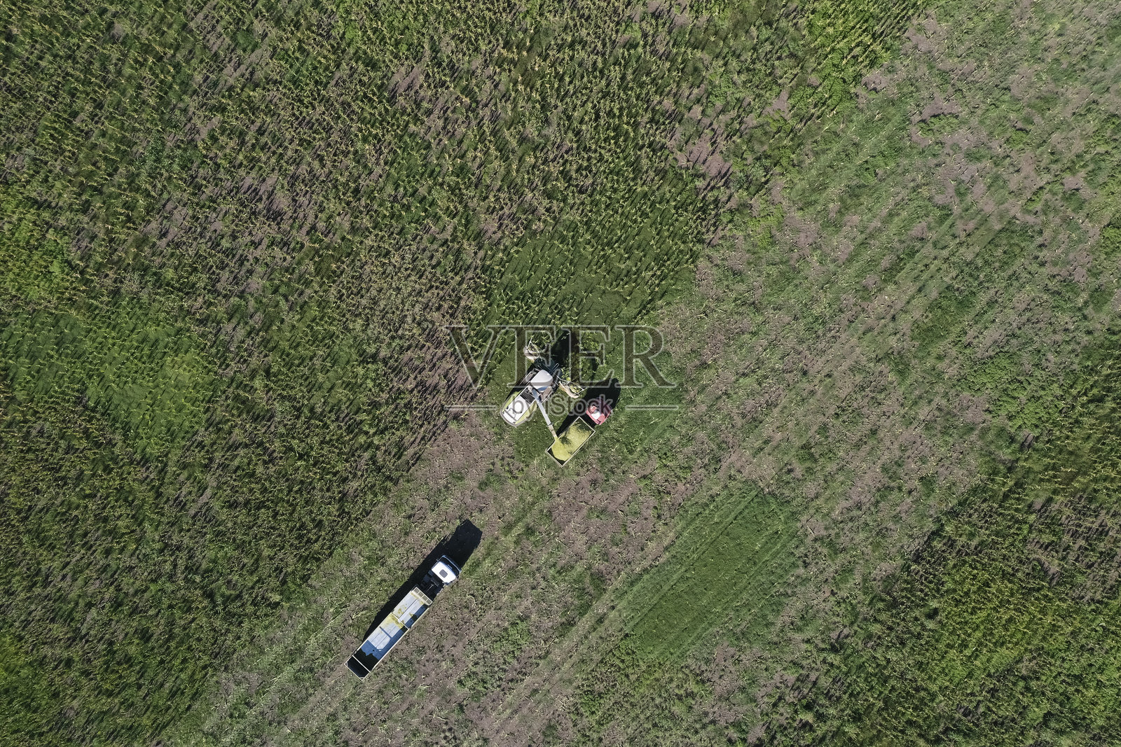 阿根廷巴塔哥尼亚拉潘帕省潘帕斯乡村的饲料收割机。照片摄影图片