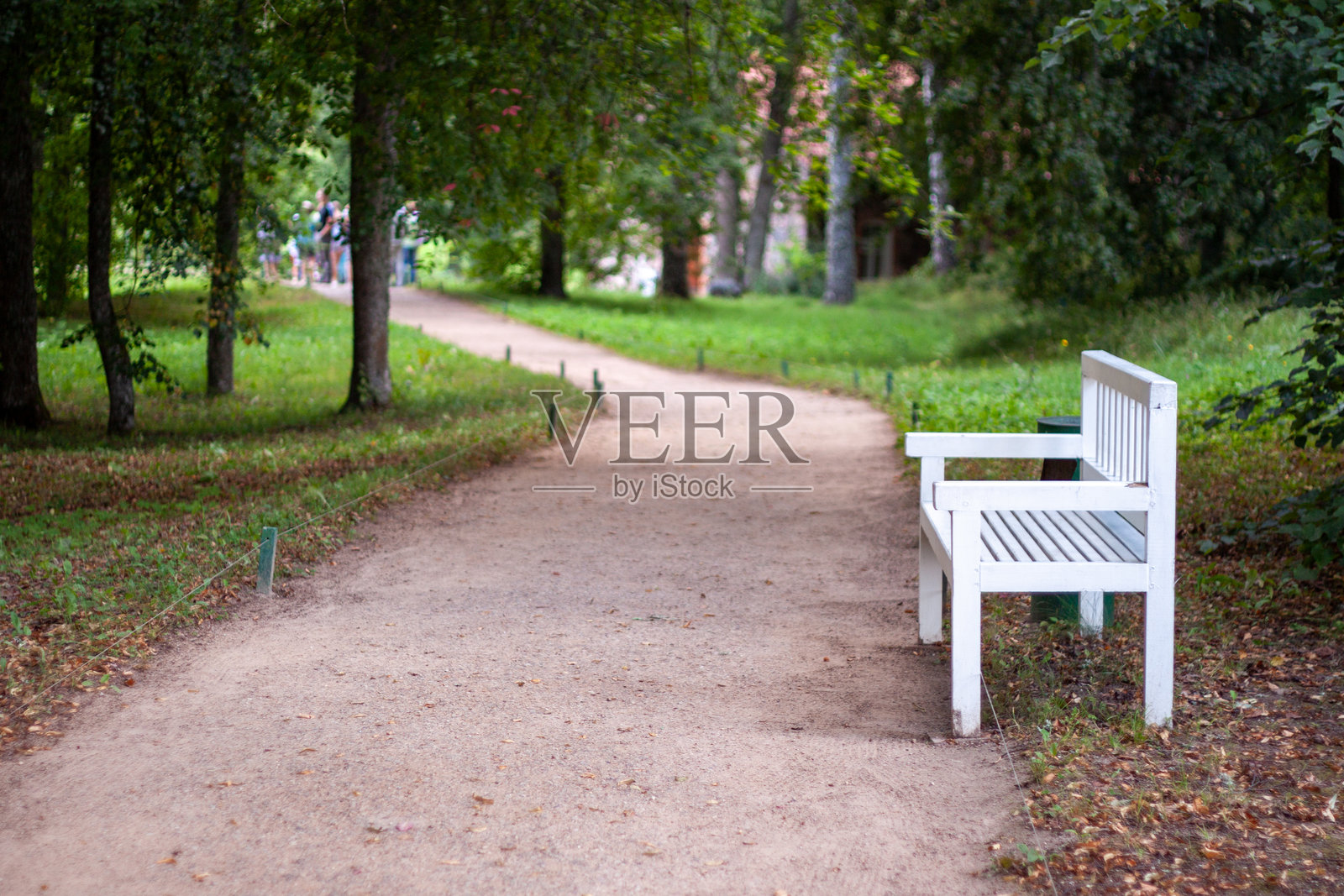 宁静的公园小径，配有长椅和树木照片摄影图片