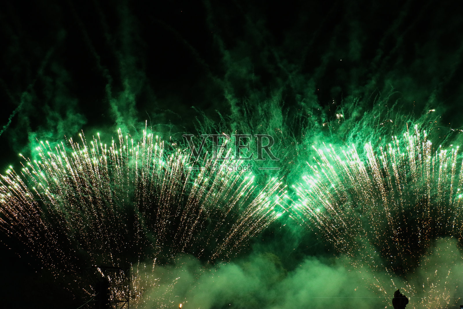 夜空中绽放的亮绿色烟花照片摄影图片