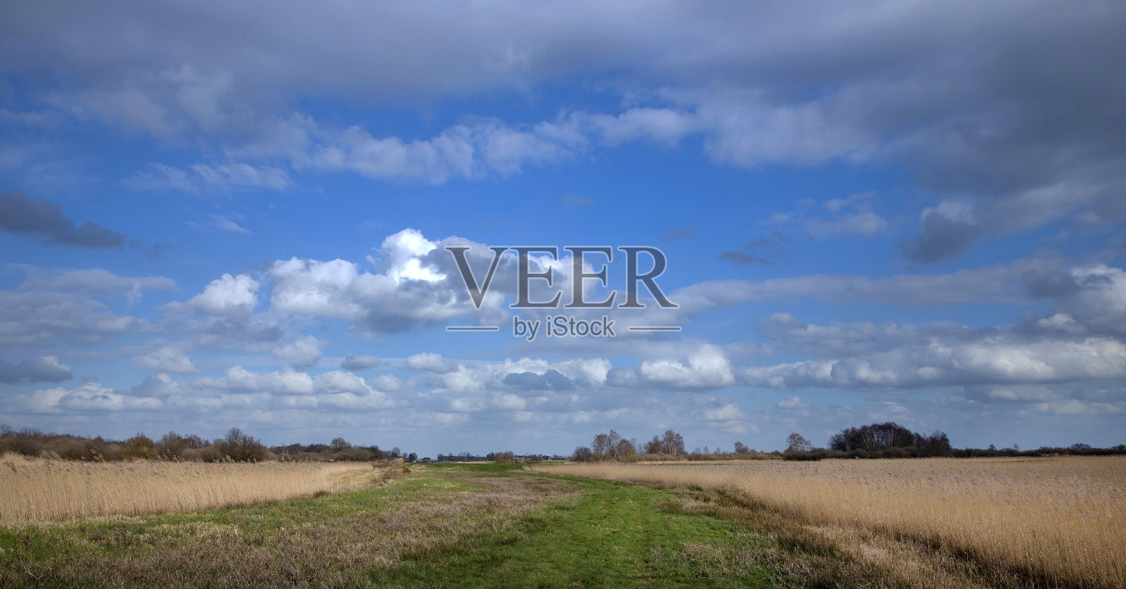 荷兰国家公园维里本-维登吉思霍恩斯滕韦克兰的乡村风光全景照片摄影图片