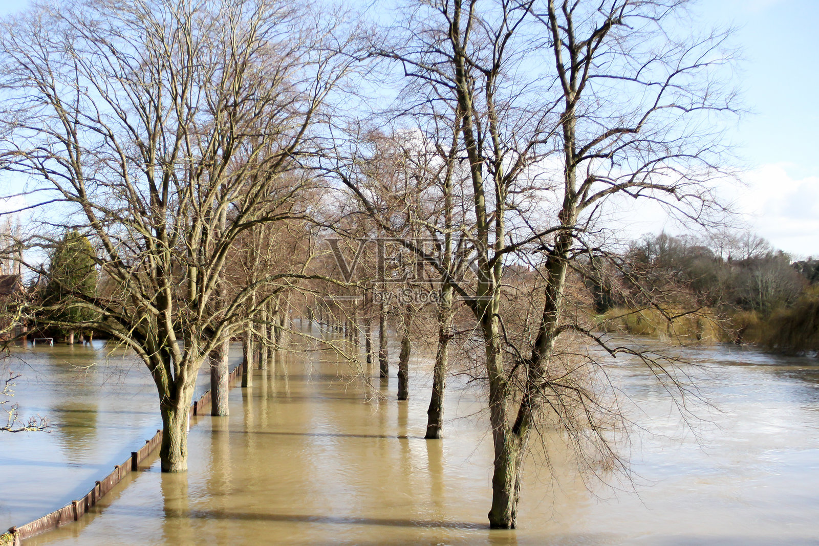 七河（Shrewsbury）河水泛滥，淹没了两侧树木行道之间的步道。照片摄影图片